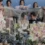 A Guide to the Best Seasons and Locations for Persian Weddings in Australia