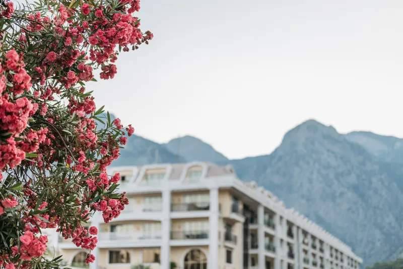 Detailed overview of Antalya resort wedding room blocks and essential negotiation points for couples.